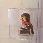 Il Museo del peperoncino maierà
