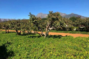paarl Sudafrica