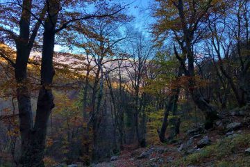 Riserva naturale zompo lo schioppo