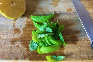 wrap di pollo ricetta