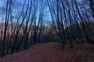 Riserva naturale zompo lo schioppo