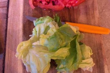 wrap di pollo ricetta