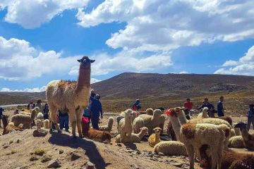 Peru Bolivia