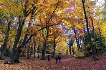 weekend in abruzzo foliage