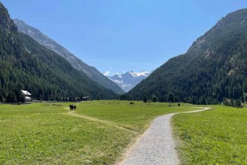 cogne cosa vedere