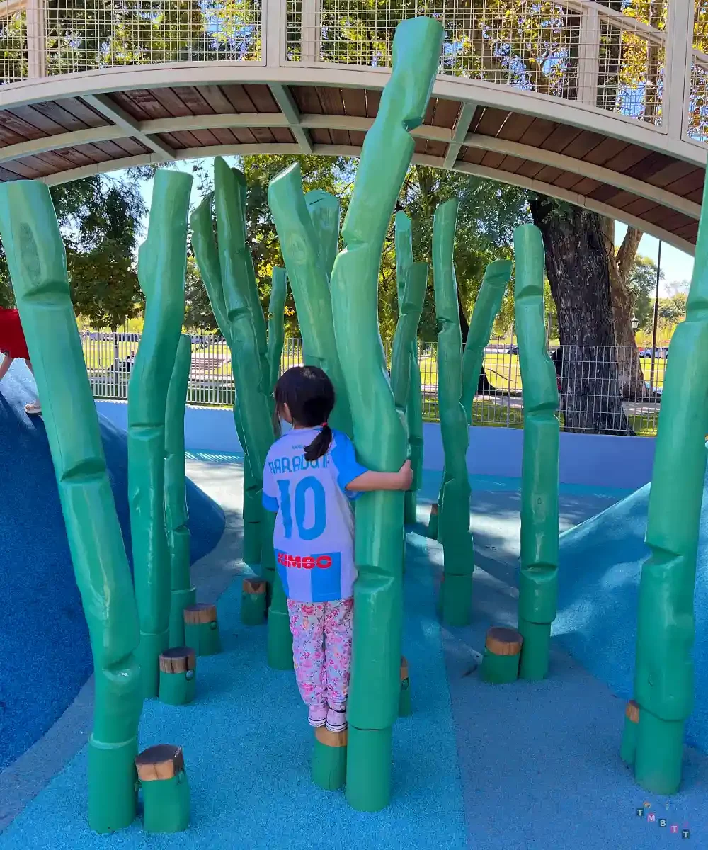 Cactus parco de las mujeres buenos aires