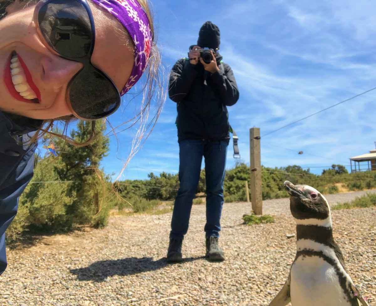 Selfie con pinguino punta tombo