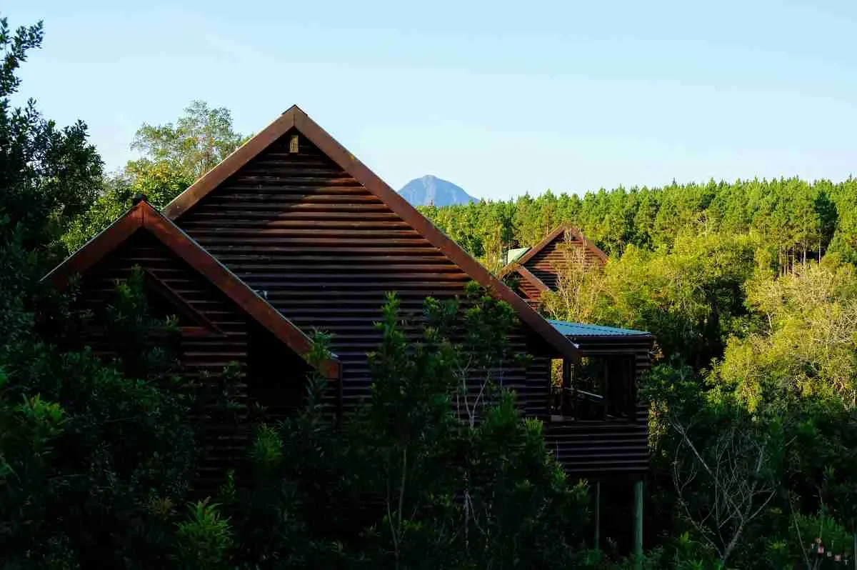 Vista Chalet fernery lodge tsitsikamma