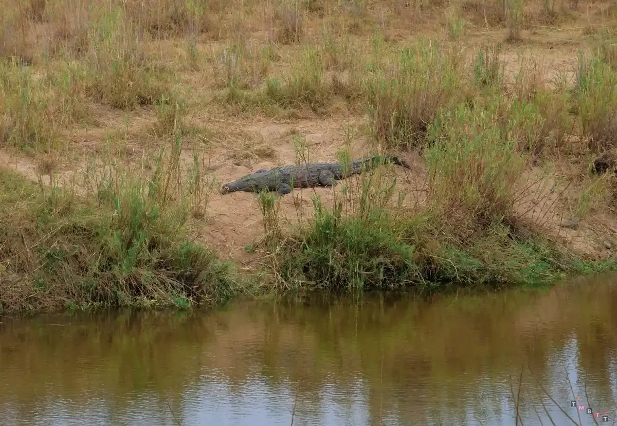 marloth park cosa fare