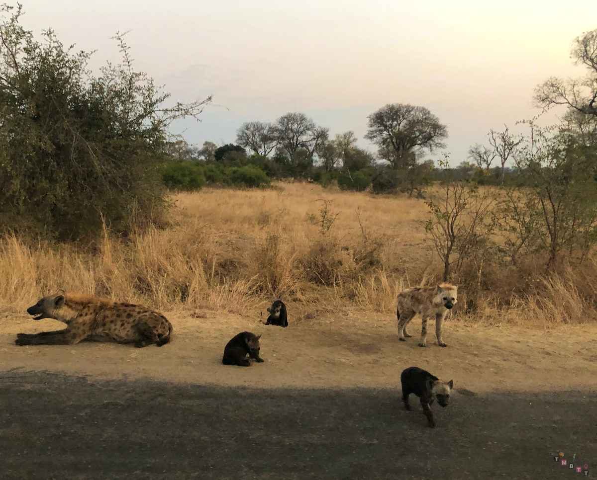 kruger iene per strada