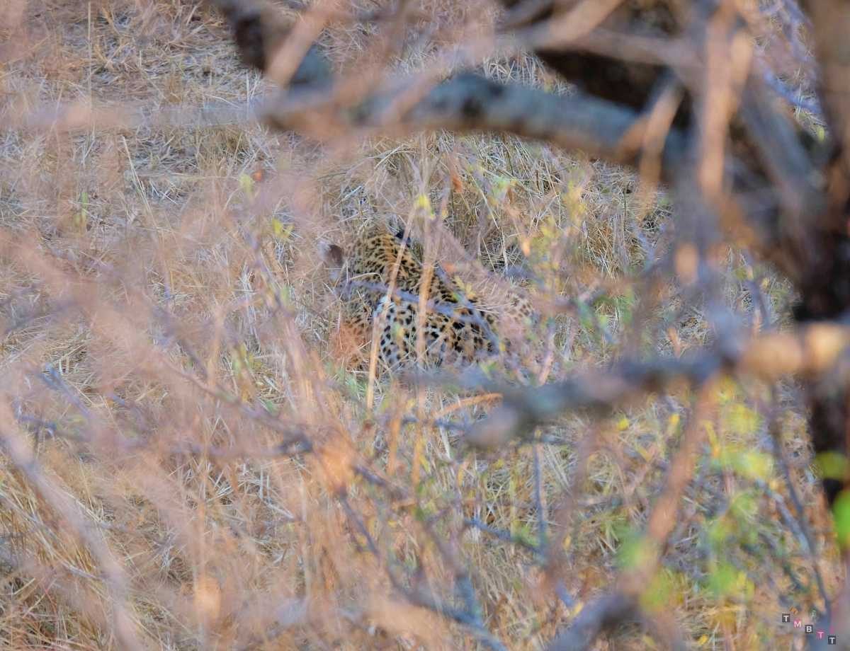 kruger itinerario due giorni