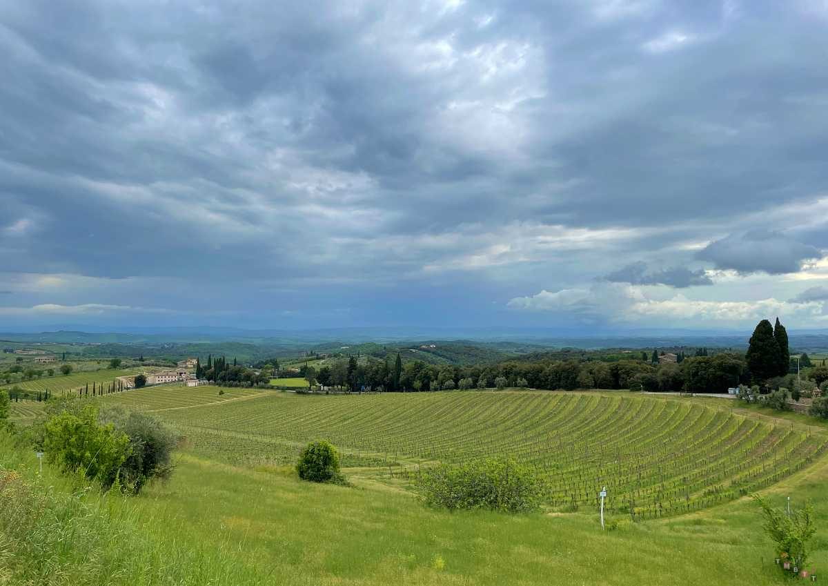 panorama colline chianti