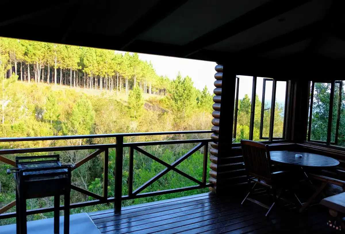 terrazza con barbecue chalet fernery lodge
