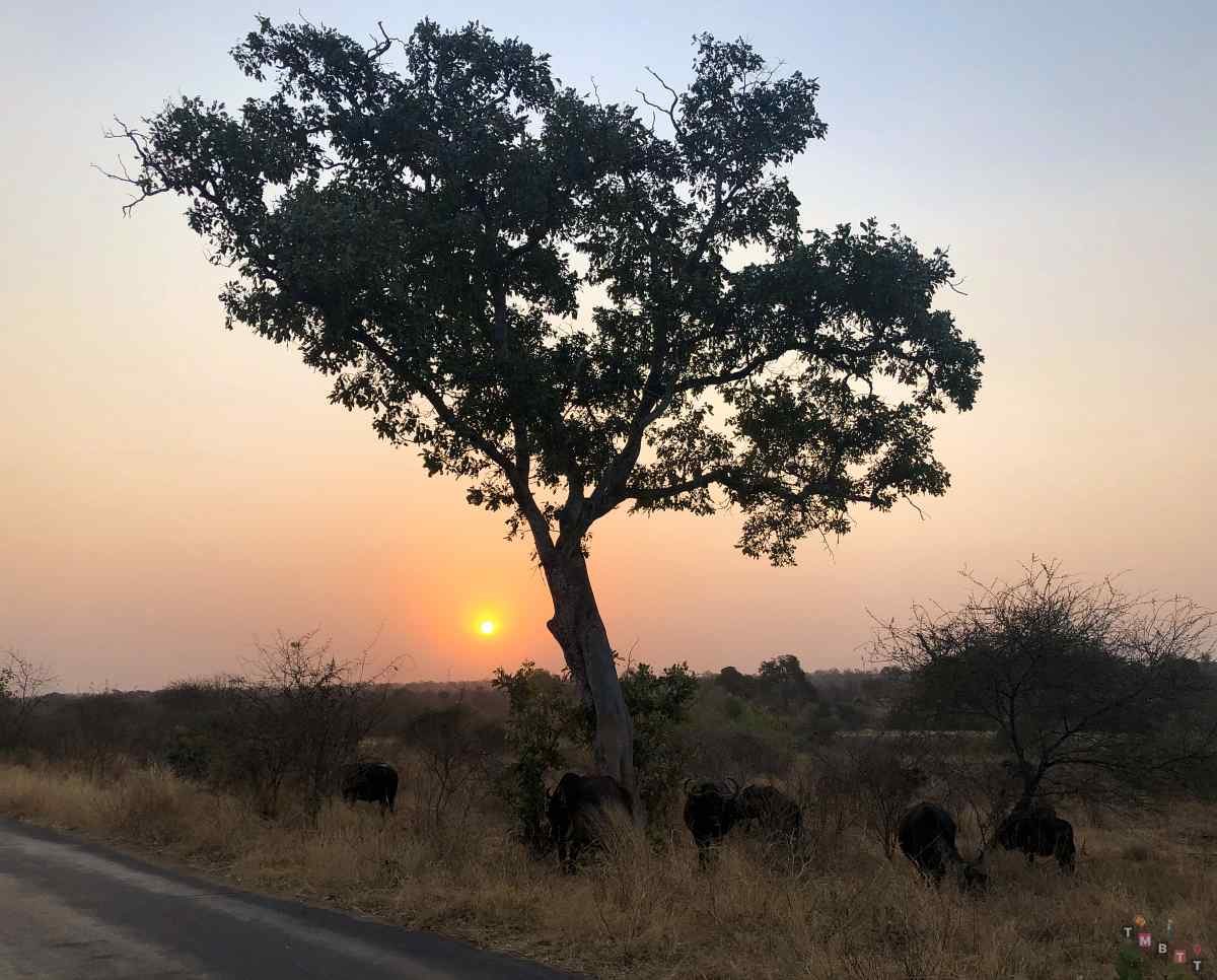 tramonto kruger park sudafrica
